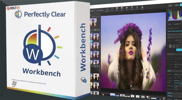 Perfectly Clear WorkBench 4.6.0.2626 download the last version for windows