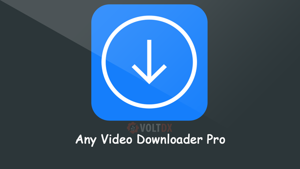 Any Video Downloader Pro 8.7.8 for ios download