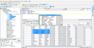 DbVisualizer Pro